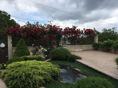 Прикрепленное изображение: IMG_9186 — копия.jpeg